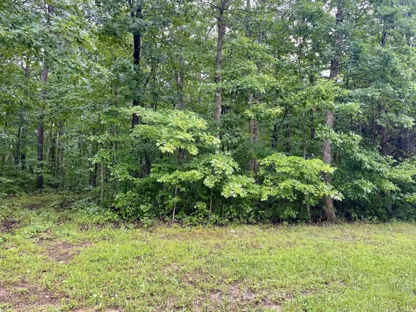 Pikeville, TN 37367,Lot 54 Lou RD