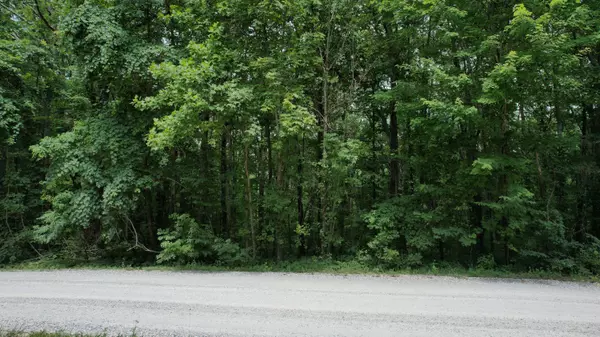 Pikeville, TN 37367,Lot 329 Valley View RD