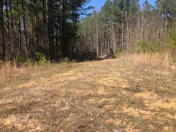 Whitwell, TN 37397,42 Kelly Creek RD