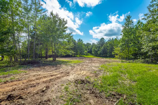 Jasper, TN 37347,1455 River Bluffs DR