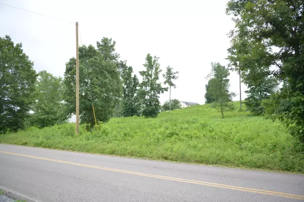 Evensville, TN 37332,Lot 8 White Flats RD