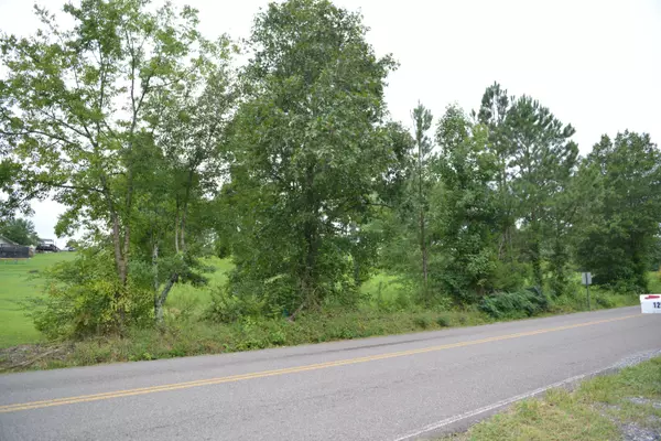 Lot 8 White Flats RD, Evensville, TN 37332