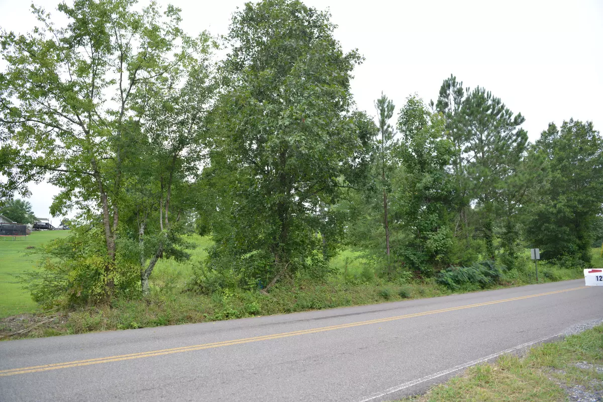 Evensville, TN 37332,Lot 8 White Flats RD