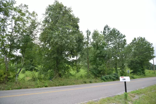 Evensville, TN 37332,Lot 8 White Flats RD