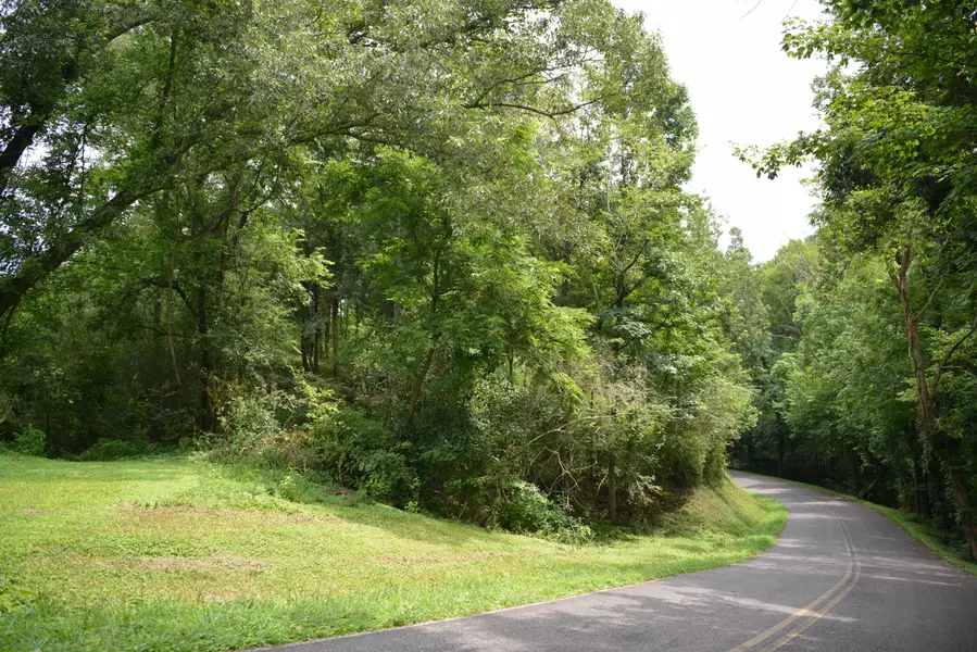 Lot 28 Park DR, Dayton, TN 37321