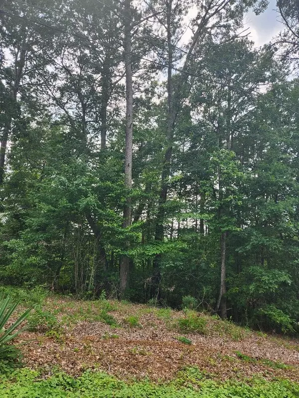 Dunlap, TN 37327,Lot 58 Hill Estates