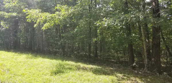 Pikeville, TN 37367,0 Lou RD