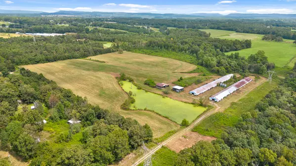 Bryant, AL 35958,0 Co Rd 291