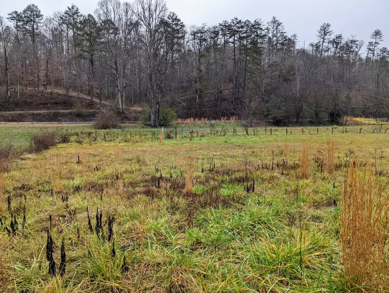 Lot 49 Morning Dunn DR, Reliance, TN 37369