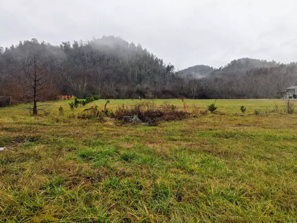 Reliance, TN 37369,Lot 49 Morning Dunn DR