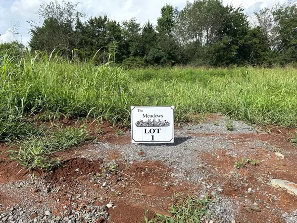 0 The Meadows, Riceville, TN 37370