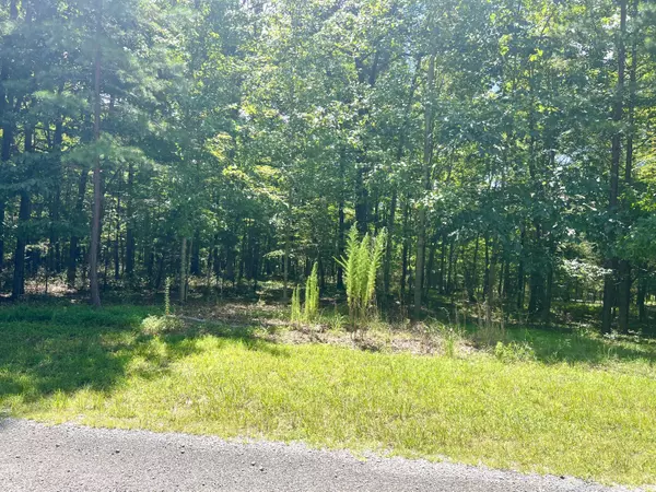 Dunlap, TN 37327,290 Two Lake TRL