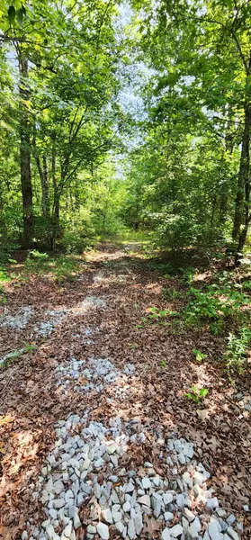 0 Hunters Trail WAY, Altamont, TN 37301