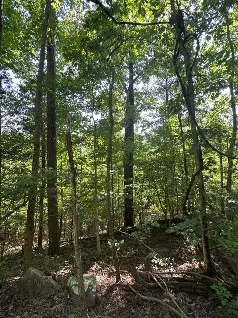 South Pittsburg, TN 37380,2460 South Pittsburg Mtn Road