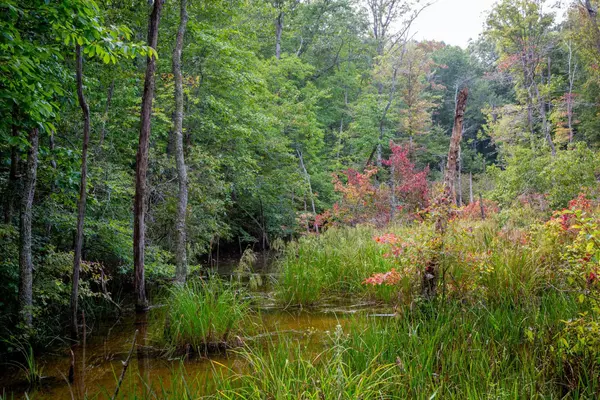 Graysville, TN 37338,1256 Acres Hendon Fire-Tower RD