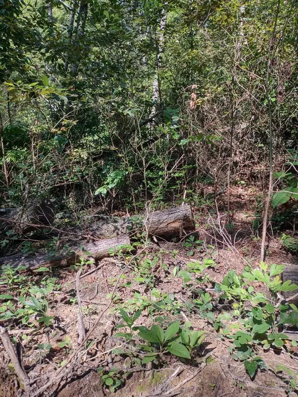 Dunlap, TN 37327,306 S And T RD
