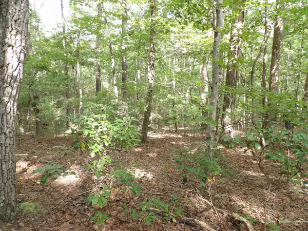 Crossville, TN 38571,02 Creek RD