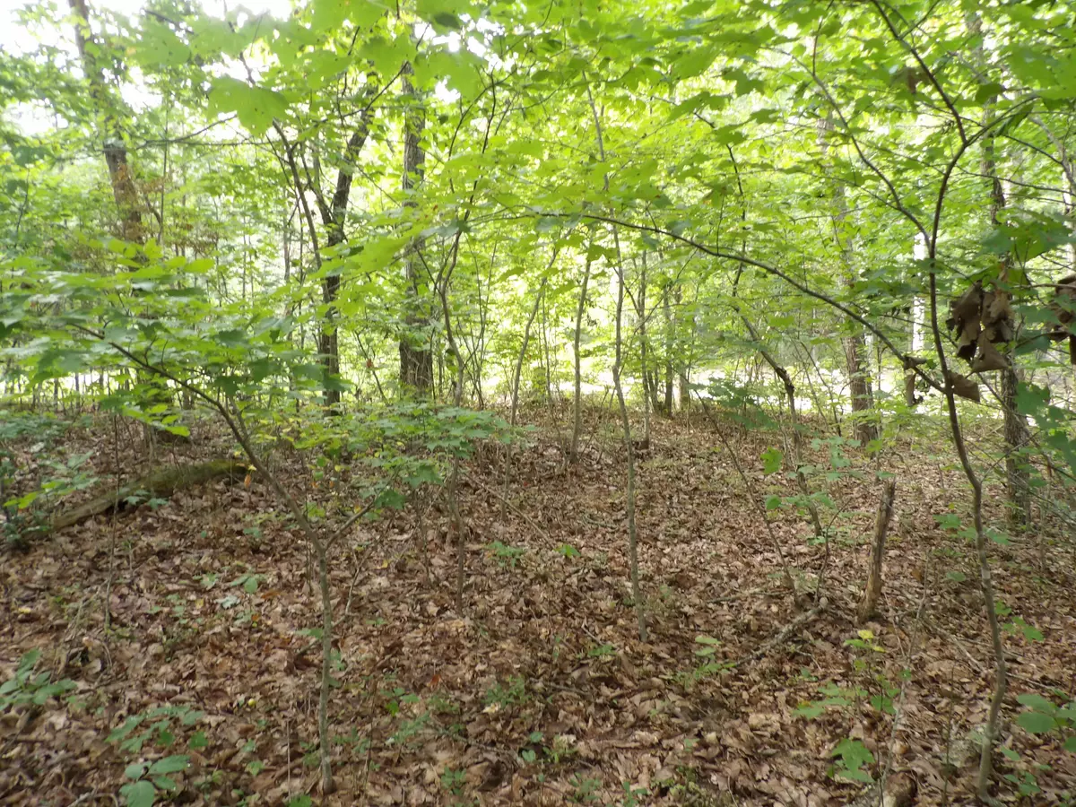 Crossville, TN 38571,03 Creek RD