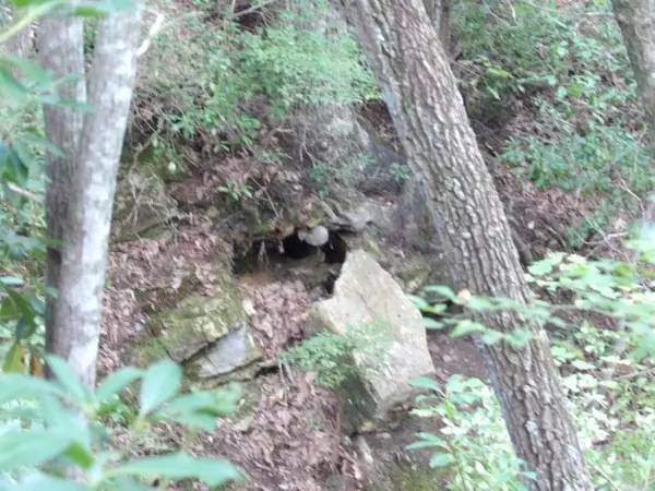 Crossville, TN 38571,03 Creek RD