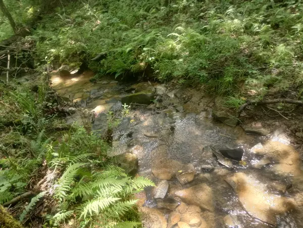 Crossville, TN 38571,03 Creek RD