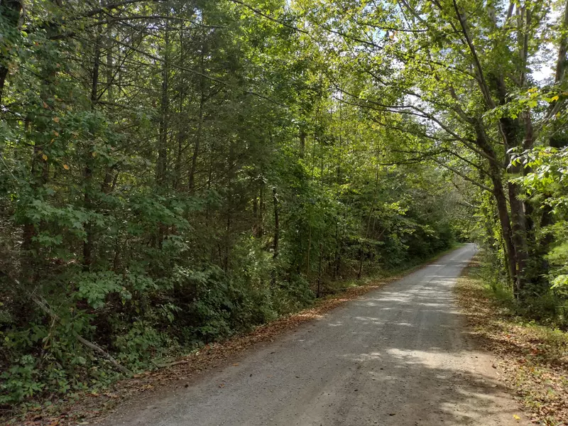 168 Garrison RD, Grandview, TN 37337