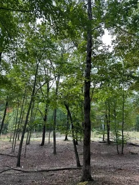 Monteagle, TN 37356,Tract 11 Eagle Rock Road