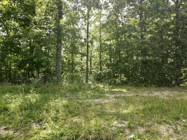 Dunlap, TN 37327,76.50 Black Mtn Rd