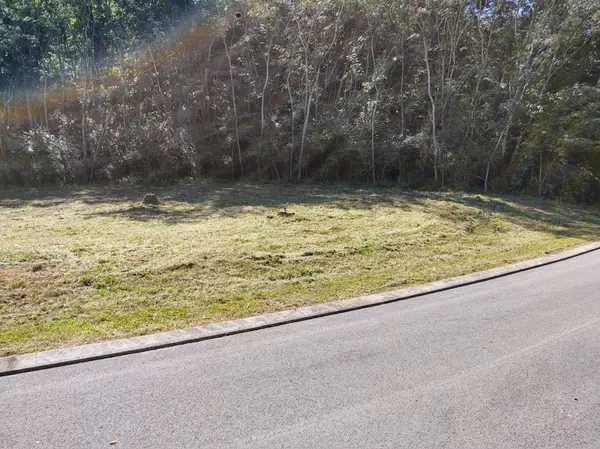 Dunlap, TN 37327,Lot 11 Hidden Trail TRL