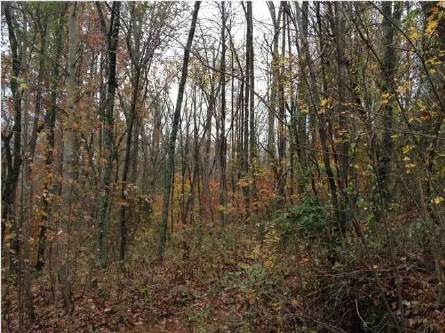 South Pittsburg, TN 37380,Lot 14 Coburntown Road