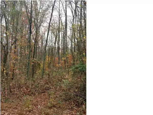 South Pittsburg, TN 37380,Lot 15 Coburntown Road