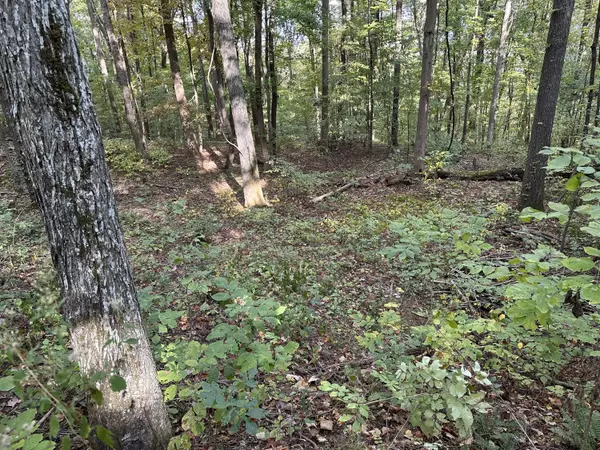 Pikeville, TN 37367,0 Fox Ridge RD
