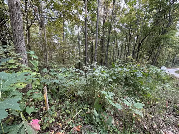 Pikeville, TN 37367,0 Fox Ridge RD