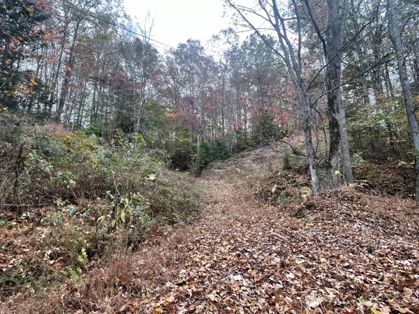 Pikeville, TN 37367,01 Pitts Gap Mtn RD