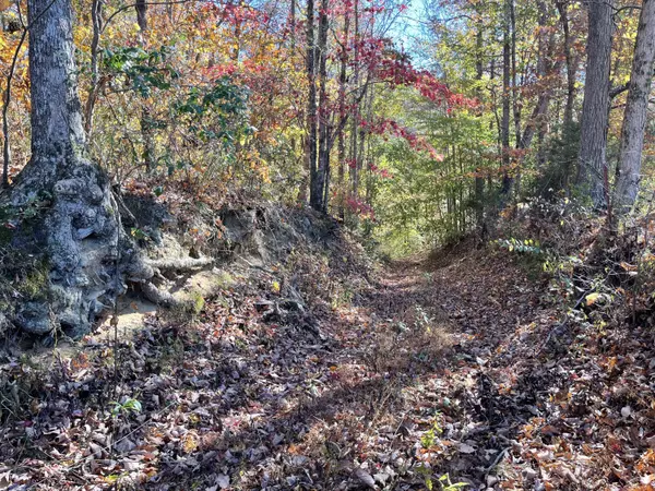 Pikeville, TN 37367,01 Pitts Gap Mtn RD