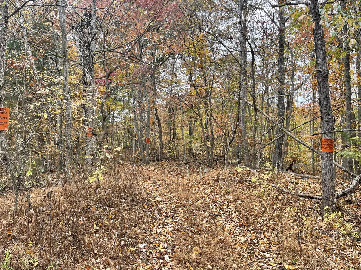Pikeville, TN 37367,01 Pitts Gap Mtn RD