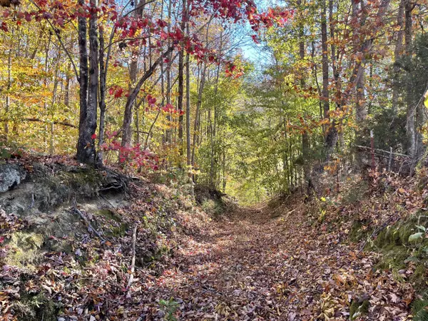 Pikeville, TN 37367,01 Pitts Gap Mtn RD