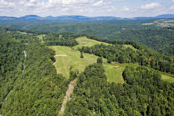 148 Lynn Roberts LN, Spring City, TN 37381