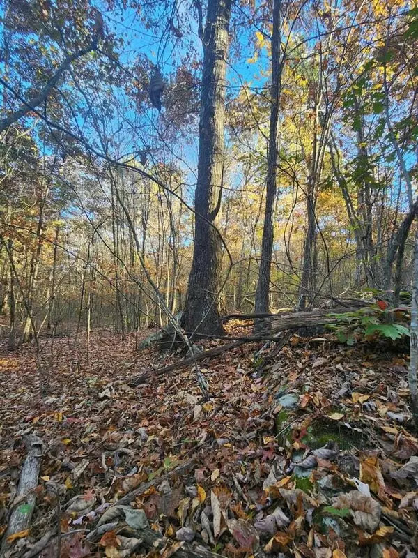 Altamont, TN 37301,5 Th DR