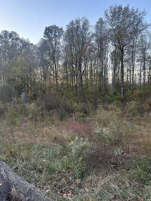 Lot 7 Lake Forest DR, Birchwood, TN 37308