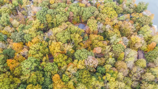 Knoxville, TN 37920,4207 Beechwood RD