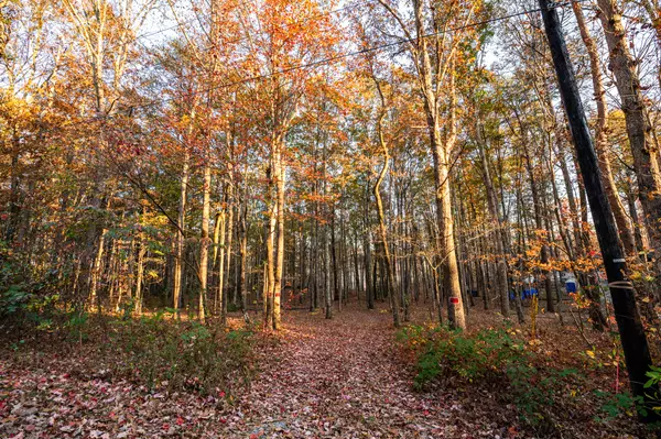 Signal Mountain, TN 37377,2272 Little Bend RD