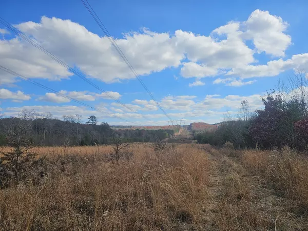 Coalmont, TN 37313,76 Braden Lane End Of LN