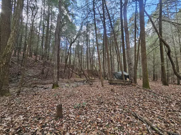 Coalmont, TN 37313,76 Braden Lane End Of LN