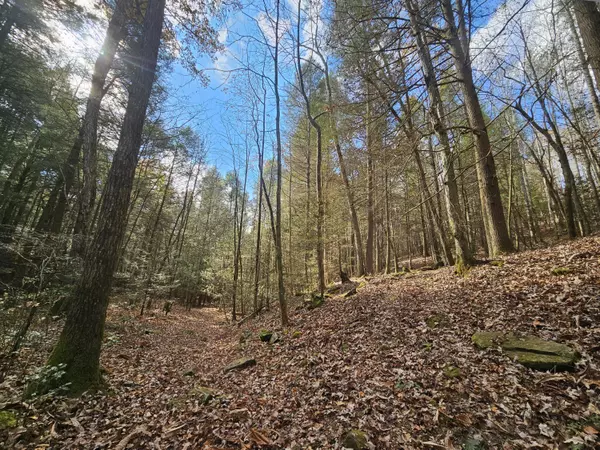 Coalmont, TN 37313,76 Braden Lane End Of LN