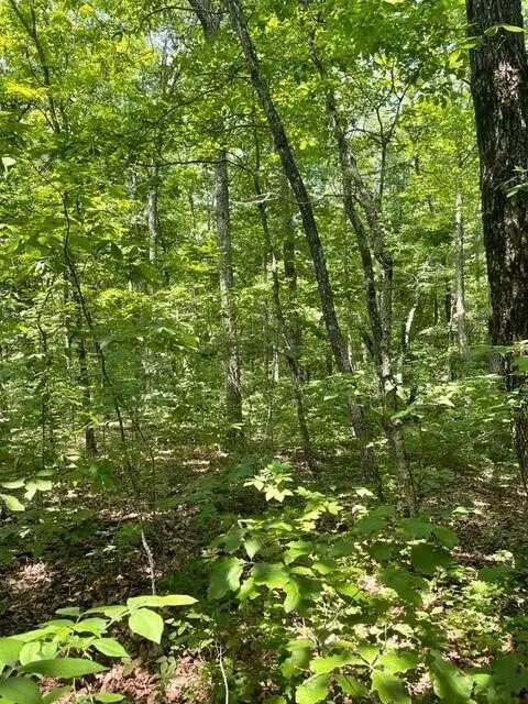 Lot 5 North Campbell Road, Altamont, TN 37301