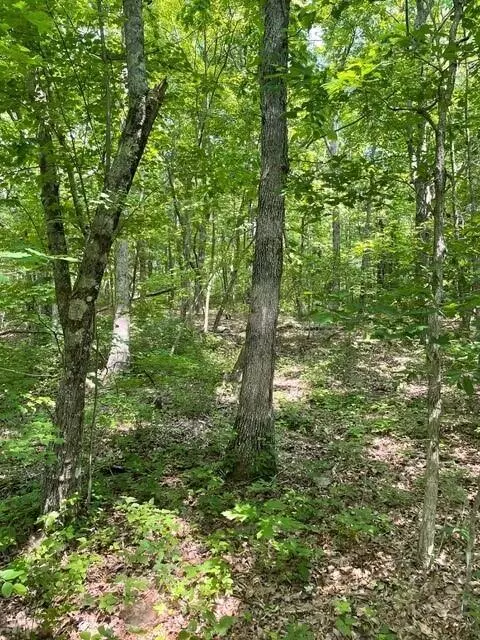 Altamont, TN 37301,Lot 5 North Campbell Road
