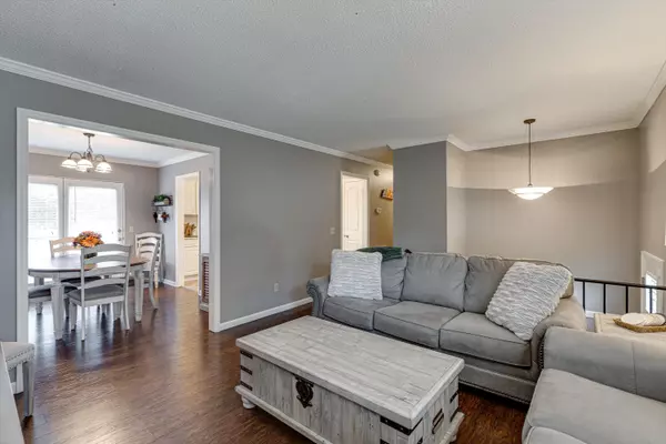 Hixson, TN 37343,303 Cricket LN