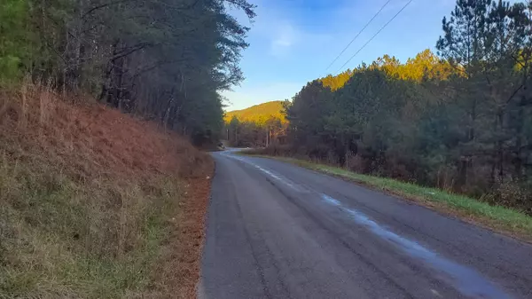 5.64 Stansbury Mountain Road, Copperhill, TN 37317