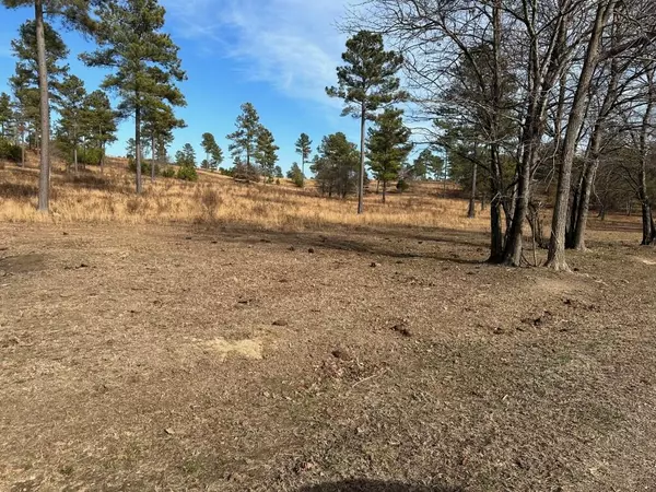 000 Bowen LN, Dayton, TN 37321