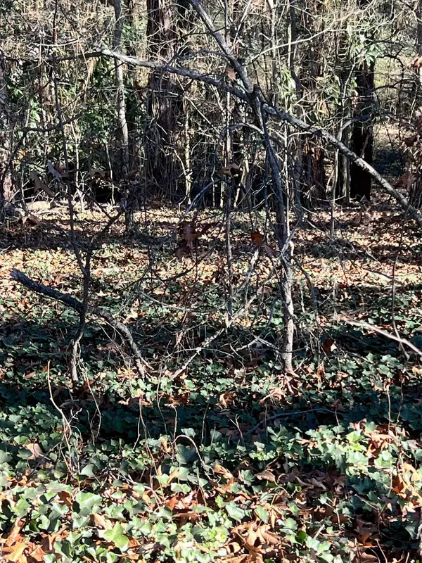 Rome, GA 30161,0 Highland CIR